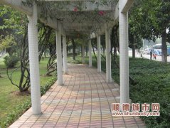 美城行动9月考评：杏坛三登顶