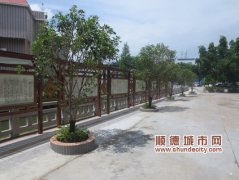 垃圾压缩“一村一站”，杏坛美城深入村居