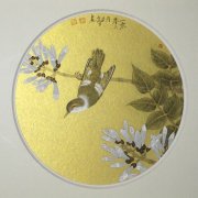 赏花赏鸟赏雨林