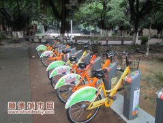 今年底，伦教将投入公共自行车320辆
