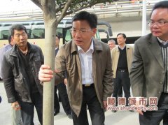 黄喜忠为绿化树量“腰围”