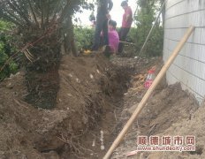 明天违法，还私自给道路“开膛”