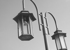 公共设施被破坏，公园很受伤