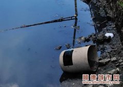 超量排污龙田涌伤不起，生物治污喊停