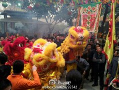 舞醒狮，烧大炮，共度观音诞