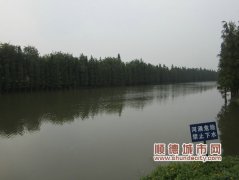 顺德订三年绿化建设计划，让市民享受更多绿意