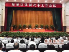 半年一回头 汪洋称顺德改革比预期的要好