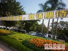 TC公交伦教接棒 五折优惠达半年