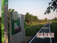 漫步伦教绿道，欣赏沿河风光