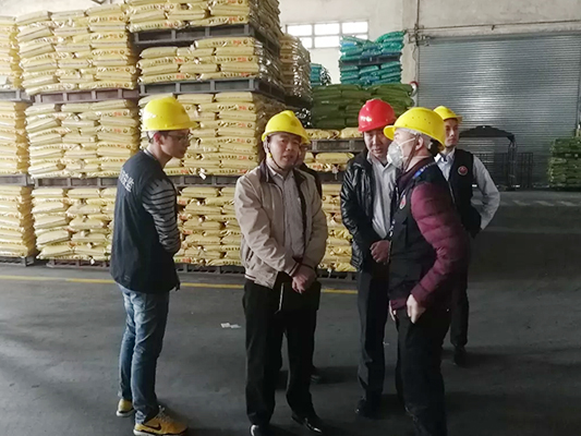 区安监局长赴勒流开展冶金专项安全检查